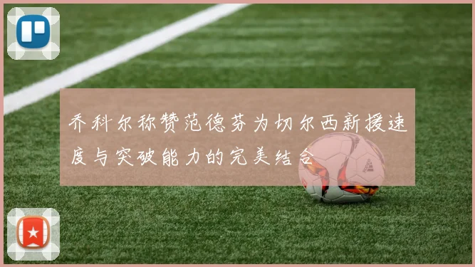 乔科尔称赞范德芬为切尔西新援速度与突破能力的完美结合