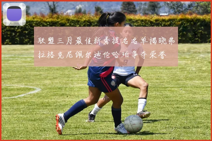 联盟三月最佳新秀提名名单揭晓弗拉格克尼佩尔迪伦哈珀争夺荣誉