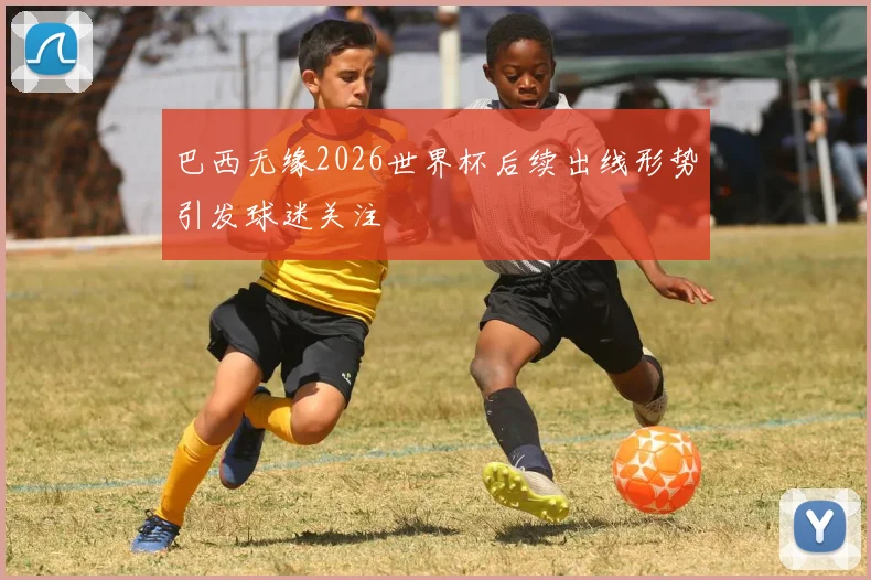 巴西无缘2026世界杯后续出线形势引发球迷关注